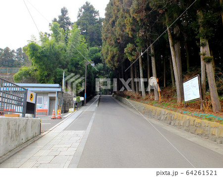 瑞鳳殿・バス停から瑞鳳殿へ向かう道の眺め・東北・仙台 64261521