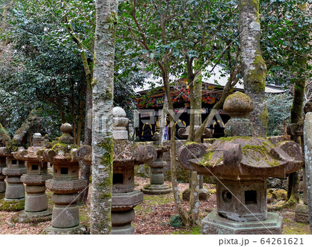 感仙殿・周囲を囲むように設置された無数の灯籠越しに見る善応殿（２） 64261621