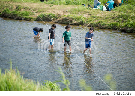 川遊びする小学生 川遊びする小学生 64261725