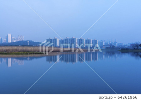 屋外 室外 自然 64261966