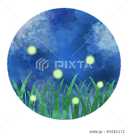 蛍のイラスト　水彩風 64262172