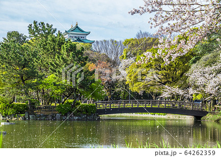 愛知県　名古屋市　名城公園からの名古屋城 64262359