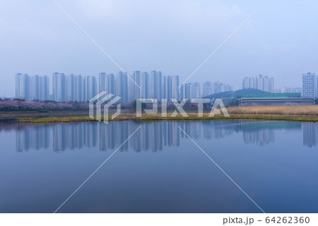 屋外 室外 自然 64262360