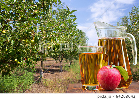 apple juice in glass and jug 64263042
