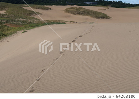鳥取砂丘の足跡 64263180