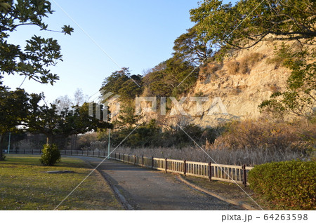 横浜、本牧市民公園 横浜、本牧市民公園 64263598