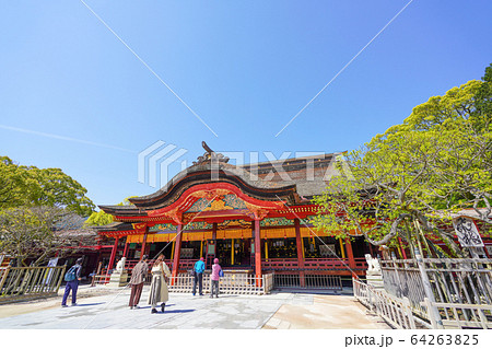 太宰府天満宮(飛梅と御本殿) 福岡県太宰府市 太宰府天満宮(飛梅と御本殿) 福岡県太宰府市 64263825