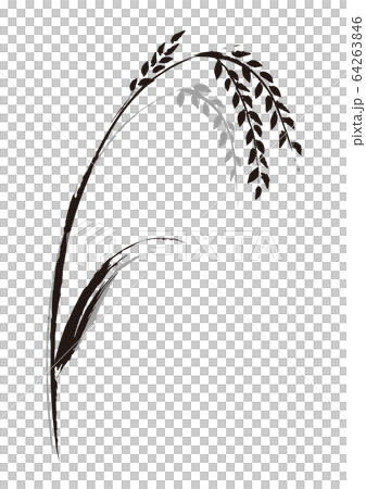 稲 墨絵 ベクターのイラスト素材