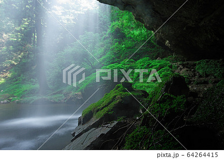清涼感溢れる裏見の滝：龍頭が滝（島根県雲南市掛合町） 64264415