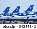 ブルーインパルス 64265848