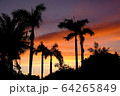 南国夕焼け 64265849