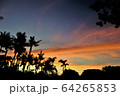 南国夕焼け 64265853