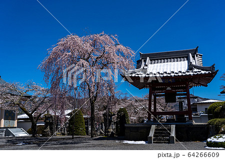 山梨県 冨士小室浅間神社の隣の寺 山梨県 冨士小室浅間神社の隣の寺 64266609