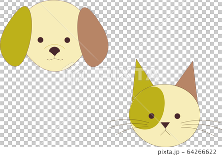 Dog and Cat 64266622