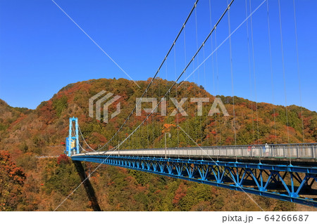 【茨城県】晴天下の竜神大吊橋の紅葉 【茨城県】晴天下の竜神大吊橋の紅葉 64266687
