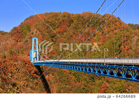 【茨城県】晴天下の竜神大吊橋の紅葉 【茨城県】晴天下の竜神大吊橋の紅葉 64266689