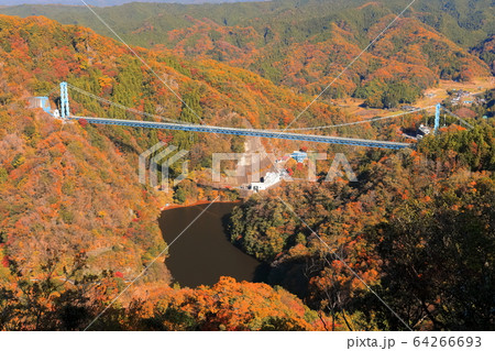 茨城県 紅葉の竜神大吊橋の写真素材