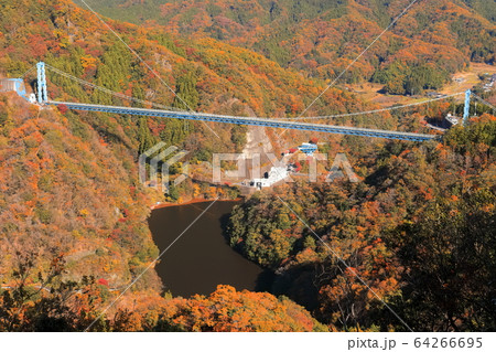 【茨城県】紅葉の竜神大吊橋 64266695