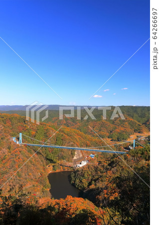 【茨城県】紅葉の竜神大吊橋 64266697
