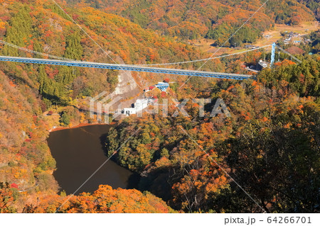 茨城県 紅葉の竜神大吊橋の写真素材