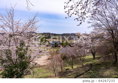 福島県二本松市　春の安達ヶ原ふるさと村 64267235