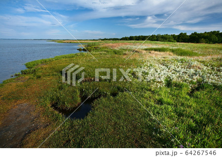 Djursland Djursland 64267546