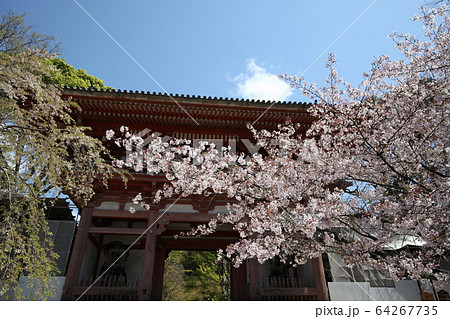 醍醐寺 64267735