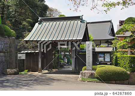 茅ヶ崎市　浄見寺入口 64267860