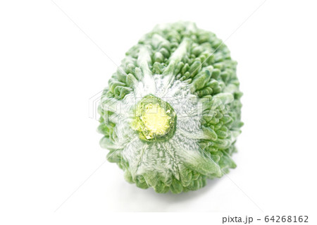 ゴーヤ ゴーヤ 64268162