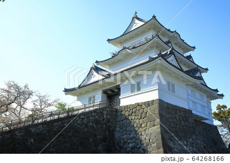城　小田原城　天守閣　小田原城址 64268166