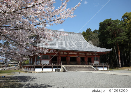 醍醐寺 醍醐寺 64268200