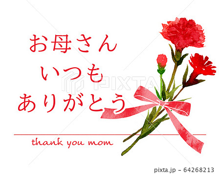 母の日 母の日 64268213