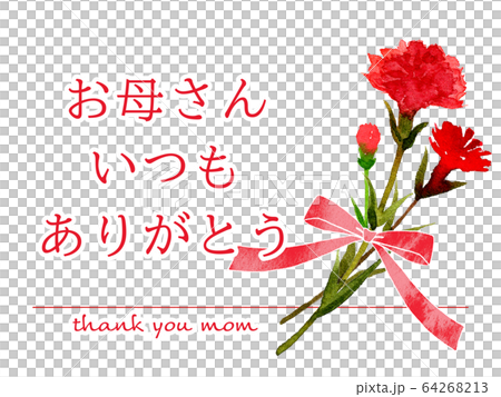 母の日 母の日 64268213