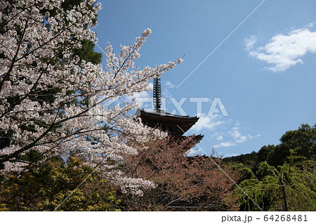 醍醐寺 醍醐寺 64268481