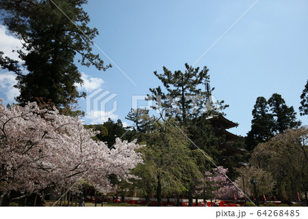 醍醐寺 醍醐寺 64268485