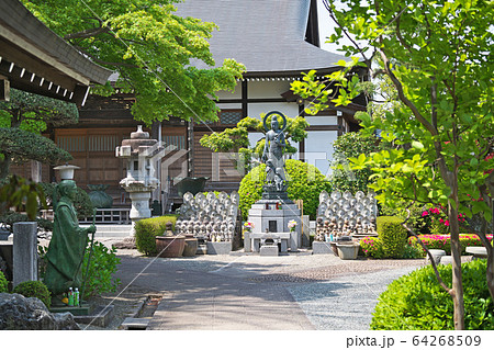 茅ヶ崎市 浄見寺 境内 茅ヶ崎市 浄見寺 境内 64268509