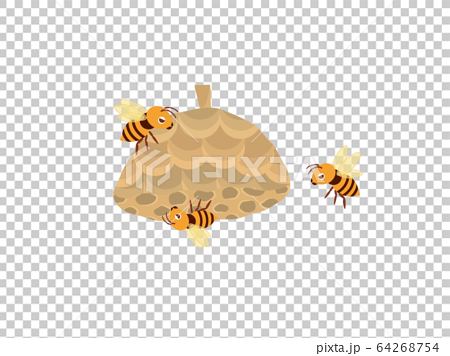 スズメバチと巣のイラストのイラスト素材