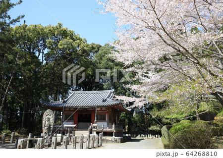 醍醐寺 64268810