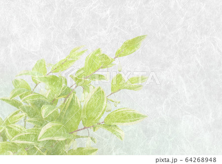 和紙アート、和風の野草 64268948