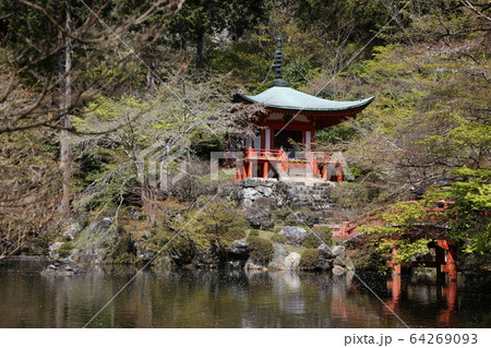 醍醐寺 醍醐寺 64269093