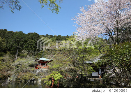 醍醐寺 醍醐寺 64269095