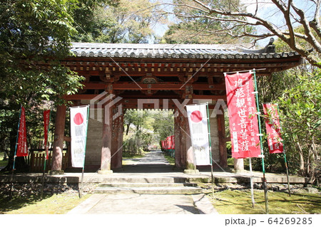 醍醐寺 醍醐寺 64269285