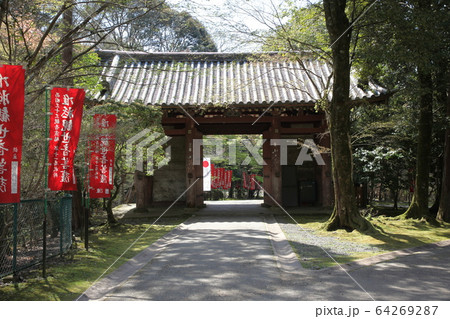 醍醐寺 醍醐寺 64269287