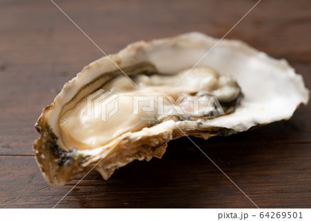 生牡蠣 64269501