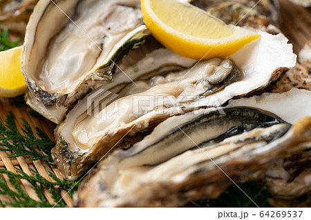 生牡蠣 生牡蠣 64269537