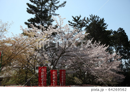 醍醐寺 64269562