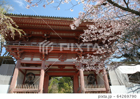 醍醐寺 醍醐寺 64269790