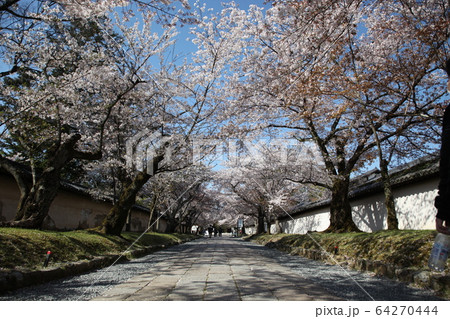 醍醐寺 醍醐寺 64270444