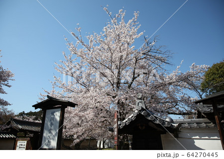 醍醐寺 醍醐寺 64270445