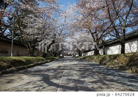 醍醐寺 醍醐寺 64270628